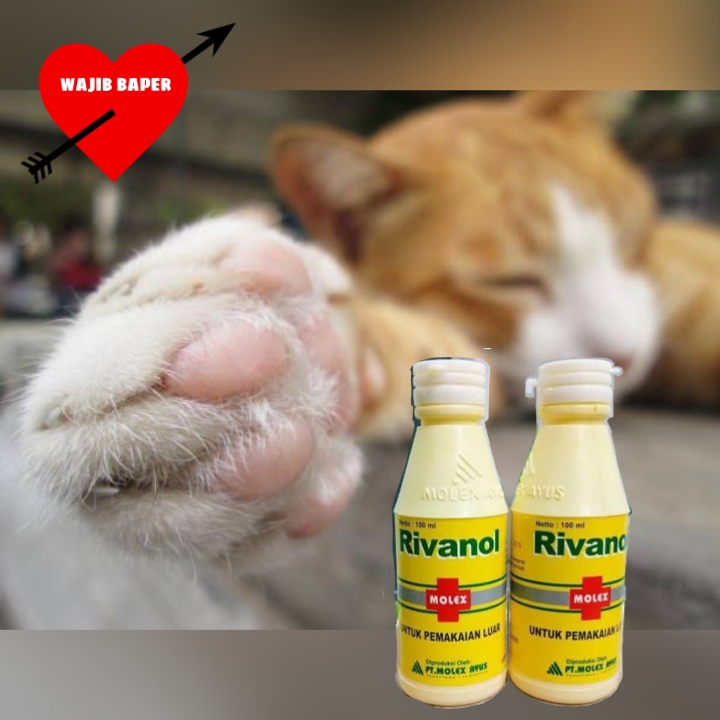 RIVANOL, cairan pembersih, pengering dan penyembuh luka kucing & anjing