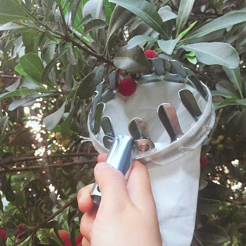 (BOW) Alat Pemetik Buah Metal Fruit Picker Alat Bantu Petik Buah 5DD05