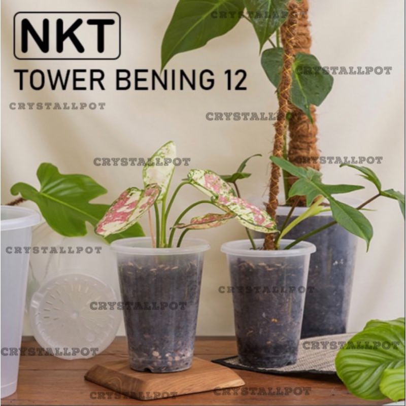 pot bunga tanaman tinggi nkt tower bening trasparan 12cm - nkt