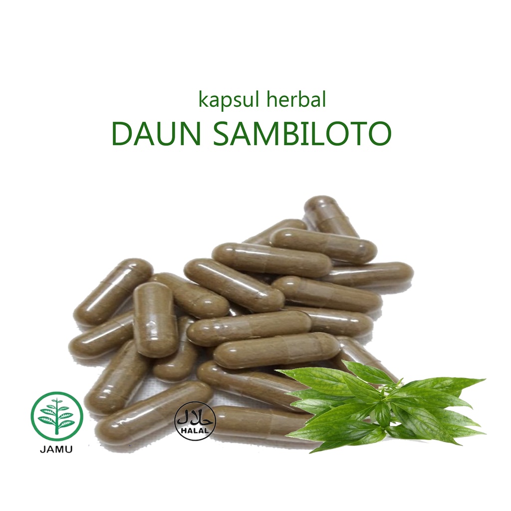 

kapsul sambiloto murni natural