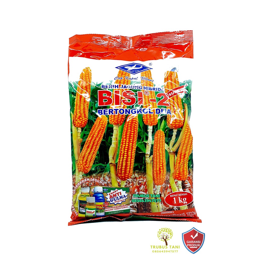 Bibit jagung Bisi - 2