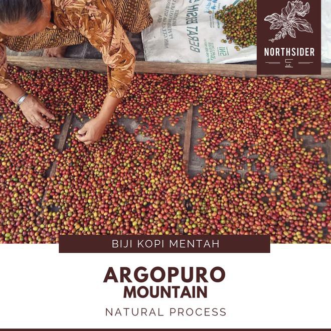 

3B9T BIJI KOPI ARABIKA ARGOPURO NATURAL - BIJI KOPI MENTAH GIMT