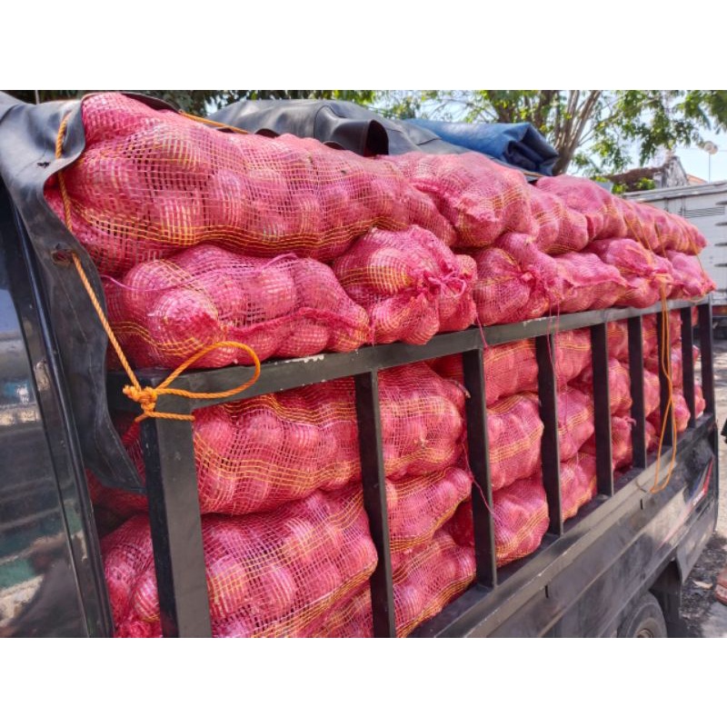 

Bawang India / Impor