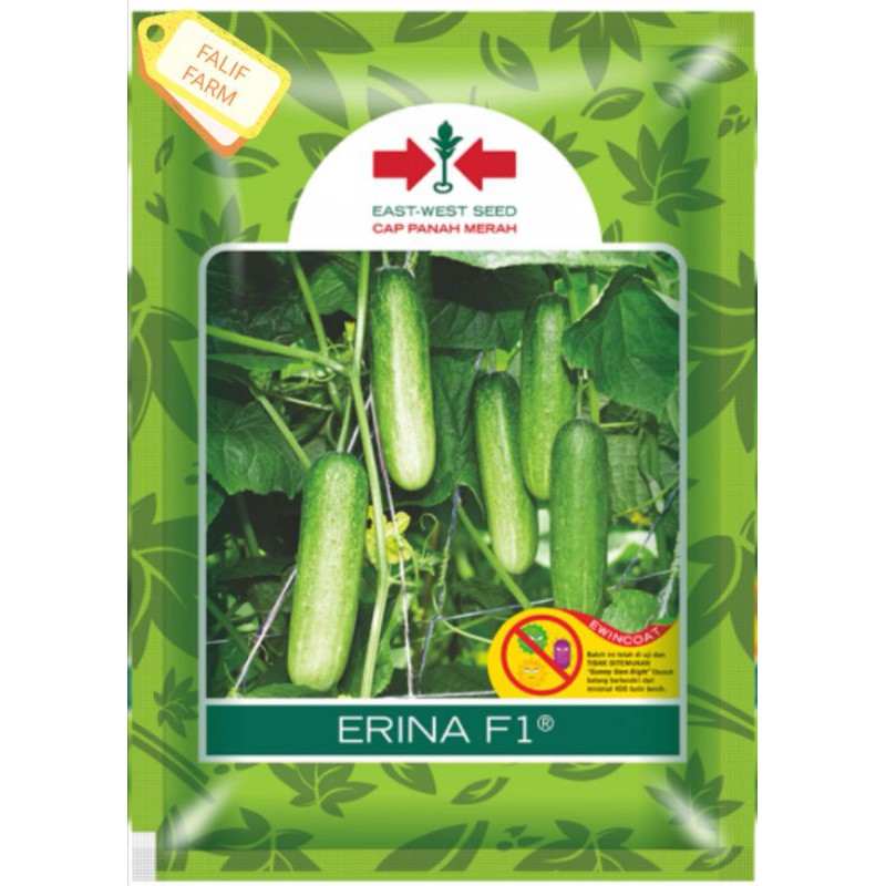 [Bisa COD] Timun Baby ERINA F1 kemasan 20 gram / 800 Butir (seed) Super Lebat dari Cap Panah Merah