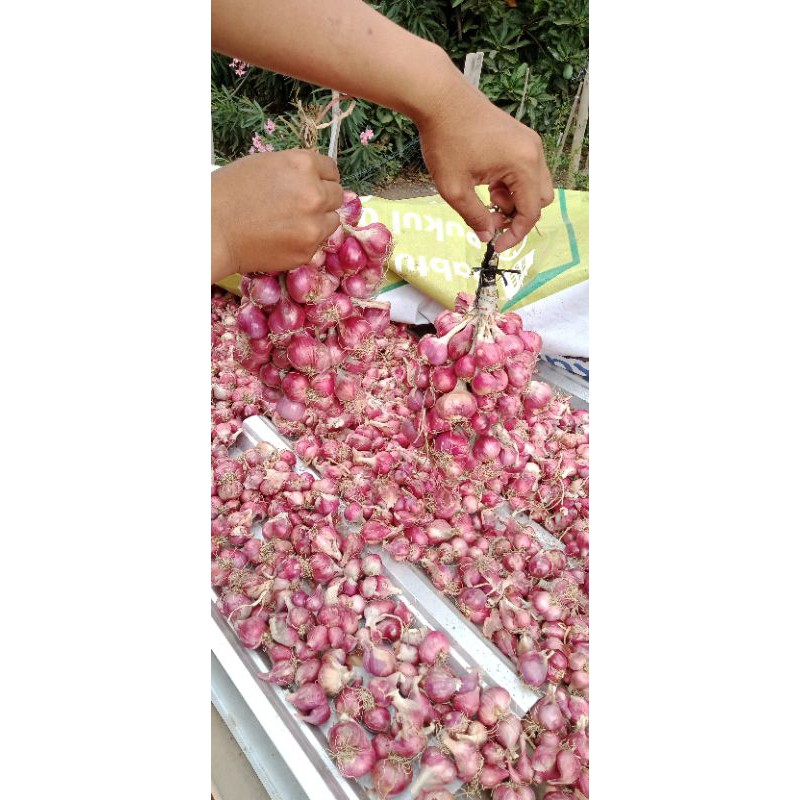 

Bawang merah super kemasan 100 gram ikat dan kupas