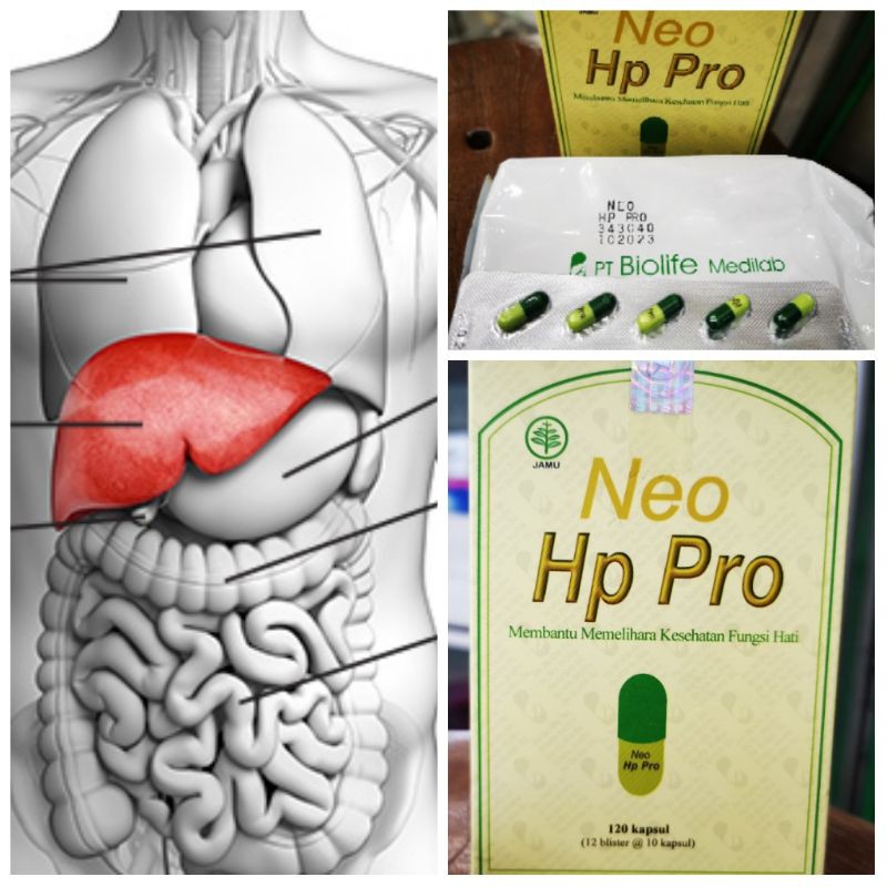 Hp Pro obat dan vitamin Hepatitis