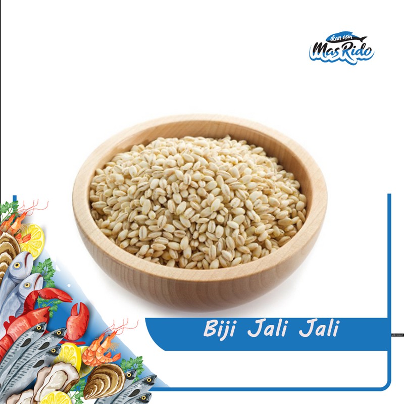 

Biji Jali Jali Barley Barli Jelai Herbal Kwalitas Super Harga Murah