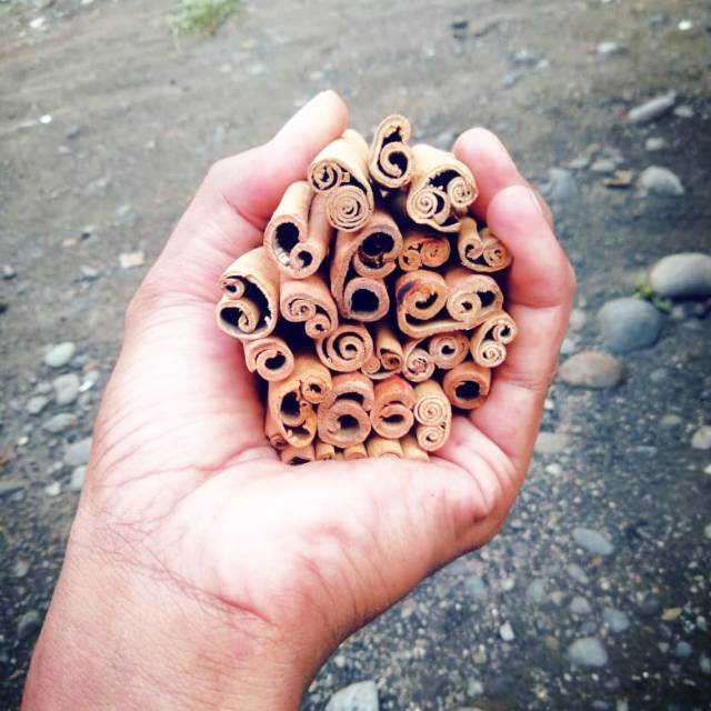 

Kayu manis stik 8cm besar 500g