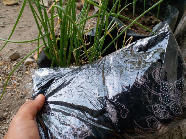 Maxy Cardi Pager Bunga Silver Batik Floral Outerwear Outer Flower Black Classic Elegant Premium Vest