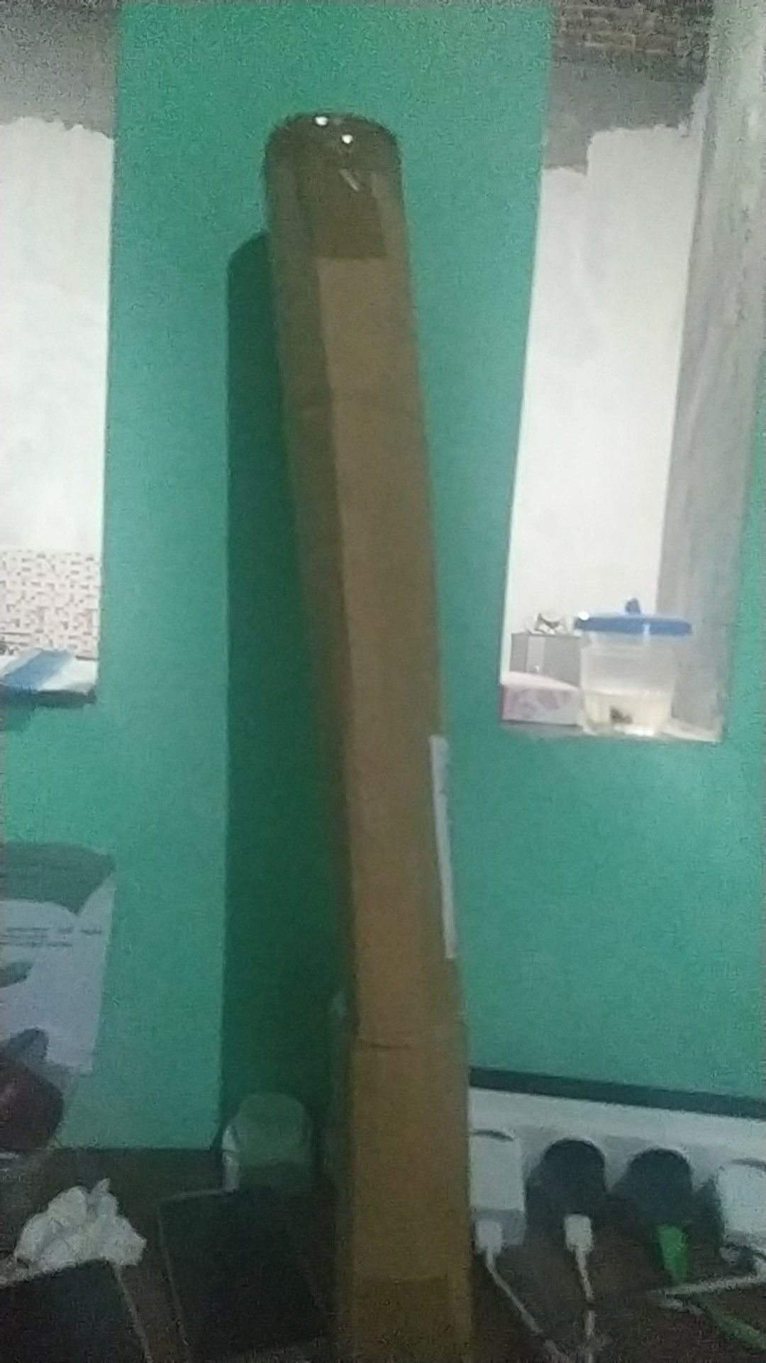 Murah Bibit Pohon Bidara Arab Unggul