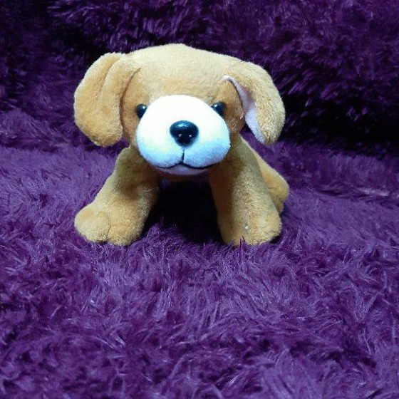 Boneka Hewan Lying DOG Murah