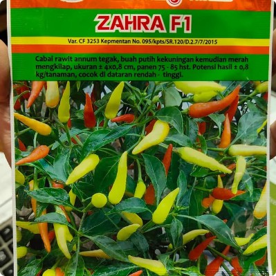 Benih Cabe Rawit Zahra F1 Bintang Asia 10 Gram