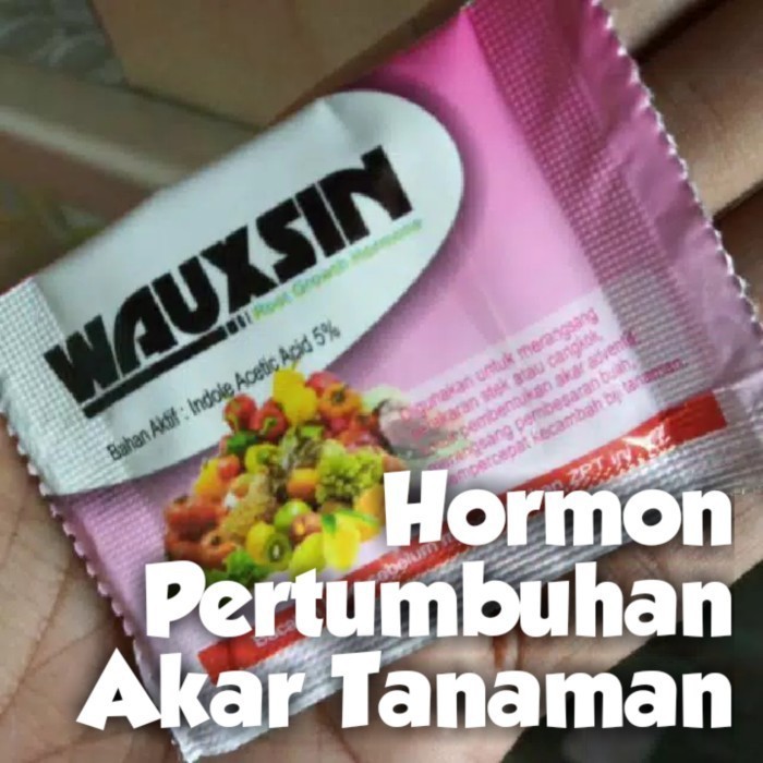 Hormon Wauxsin Penumbuh Akar Stek dan Cangkokan