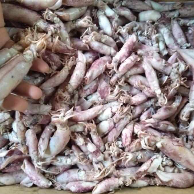 

(BISA COD) cumi asin 1kg BERMUTU Kode 222