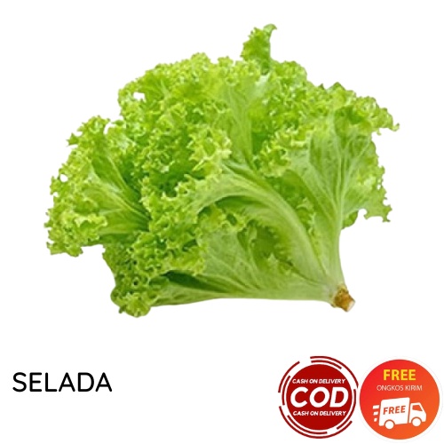 SELADA