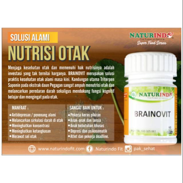 

Nutrisi otak