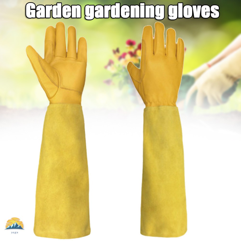 rose pruning gloves