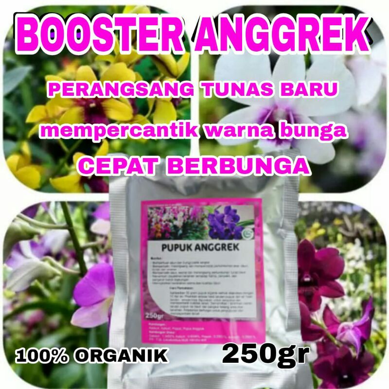 PUPUK B00STER ORGANIK ANGGREK PERANGSANG TUNAS  BIAR CEPAT BERBUNGA