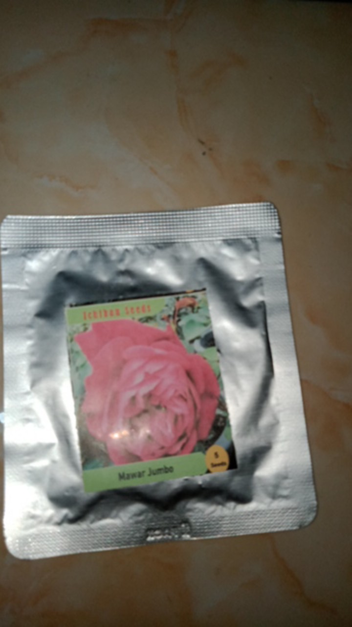Benih Bibit Biji Bunga Mawar Jumbo Kemasan Alumunium Foil