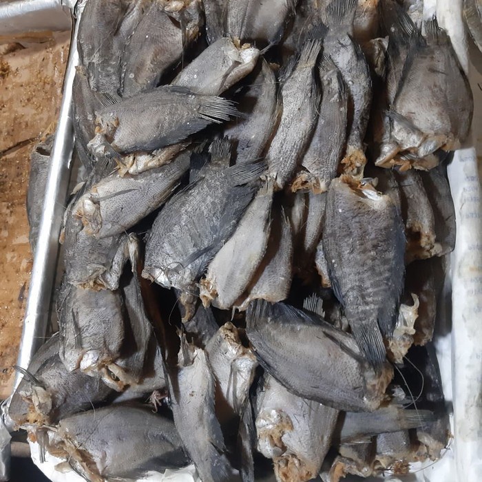 

Ikan Asin Sepat 1/4(250g)
