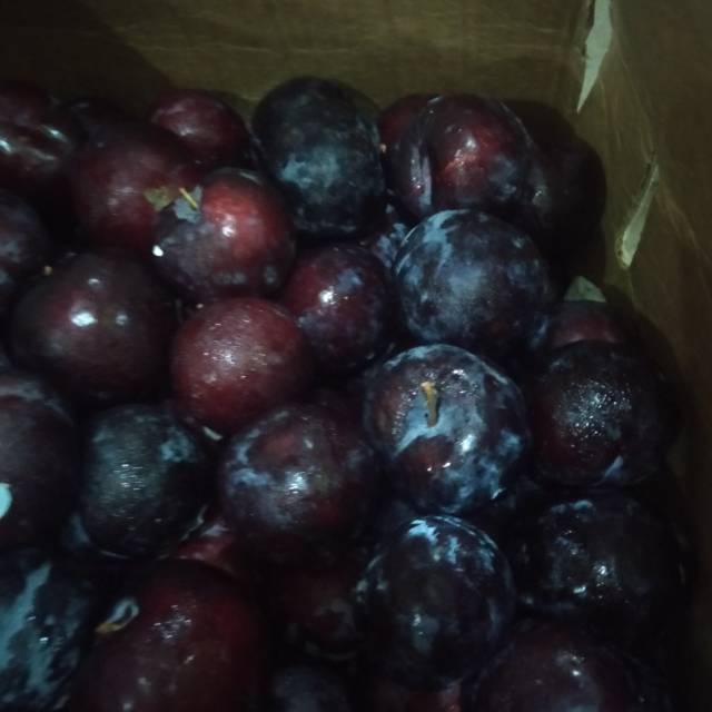 Jual Buah plum Shopee Indonesia