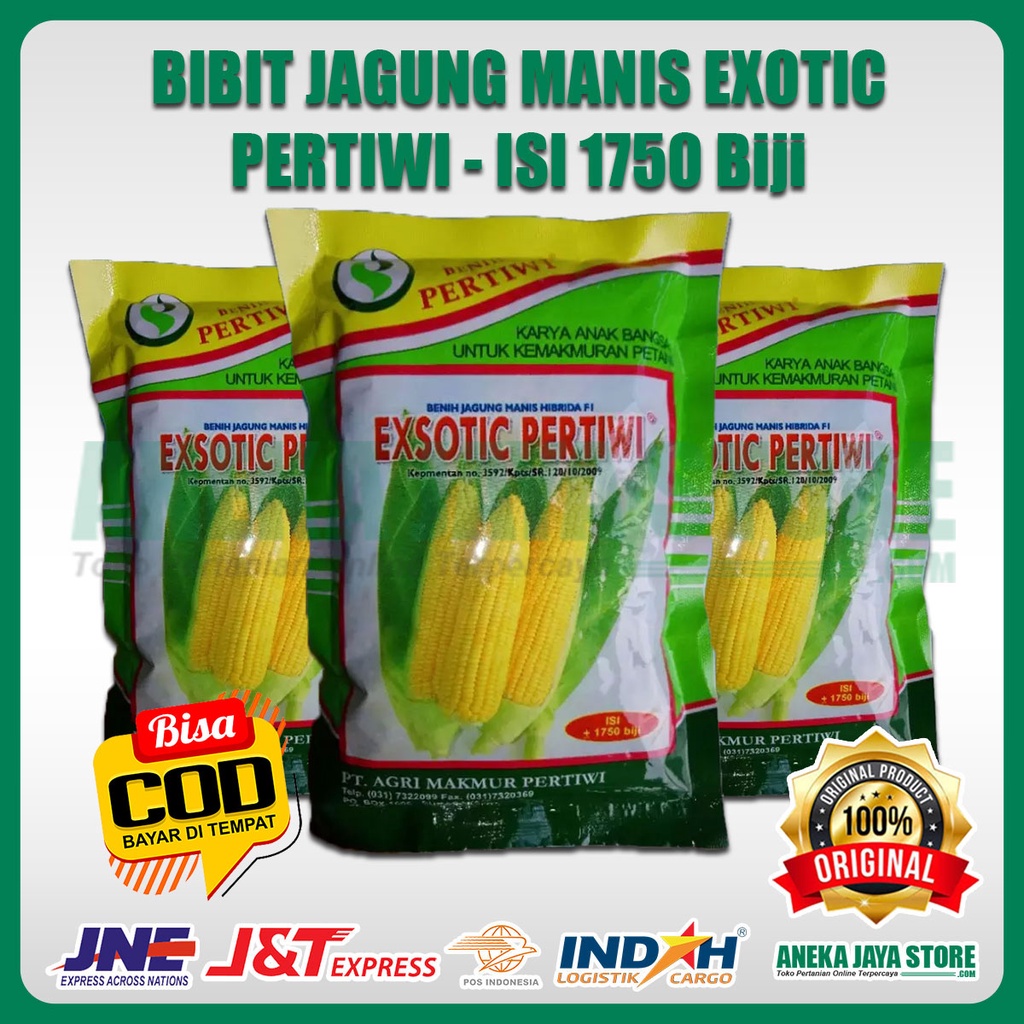 Bibit Jagung Manis Exotic Periwi - 1750 biji