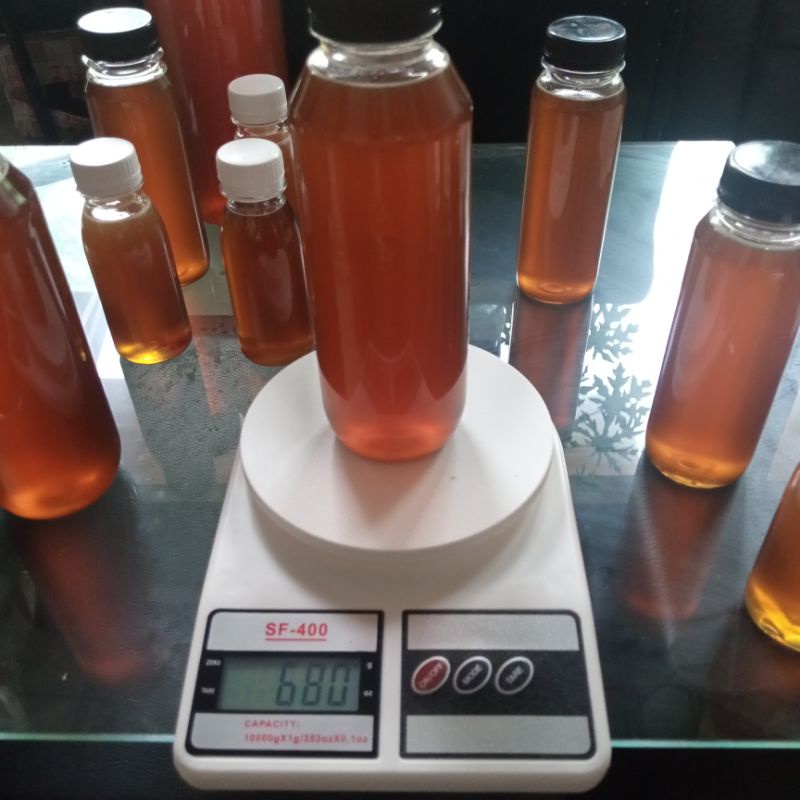 

madu hutan Sumatra