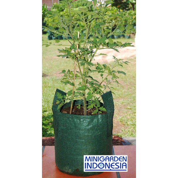 Planter bag 20 Liter EASY GROW planterbag 20liter easygrow kantong Pot polybag semai benih bibit Tanaman bunga sayuran buah planter bag