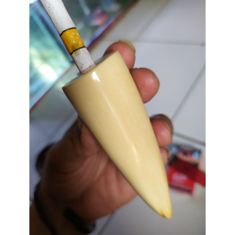 Pipa gg pucuk / pipa gg pucukan gading