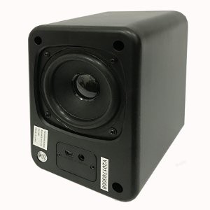 Speaker Advance DUO 200