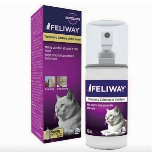 Feiway Cat Spray Wajah Untuk 