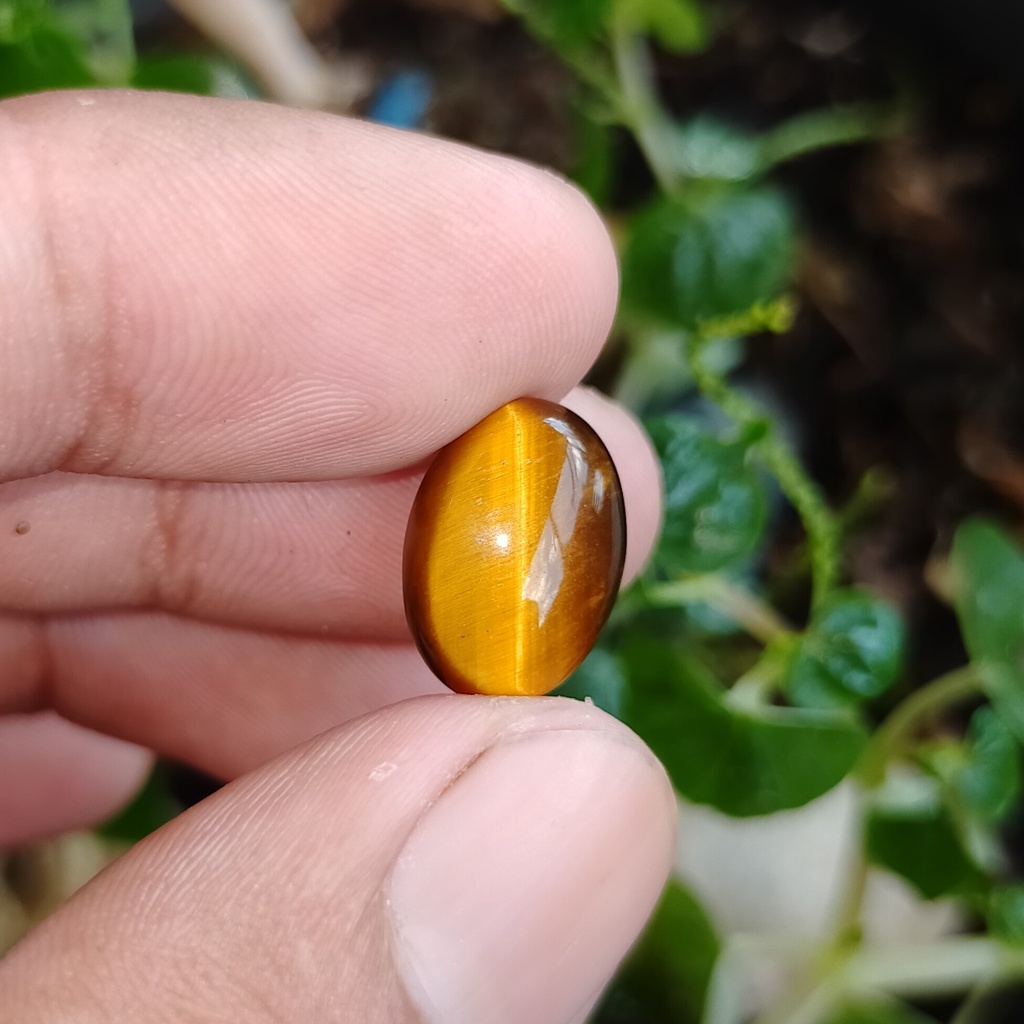 batu cat eye tiger kuning asli alam natural bkn ruby safir yakut bacan akik opal pirus giok