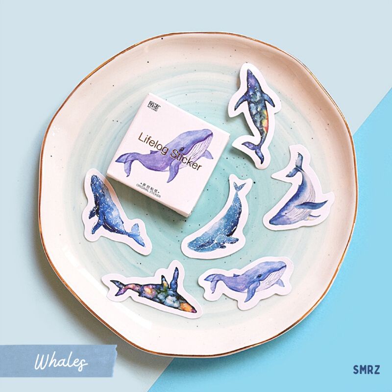 

Whales Sticker Piece - Stiker Ecer Ikan Paus / Oceans / Blue