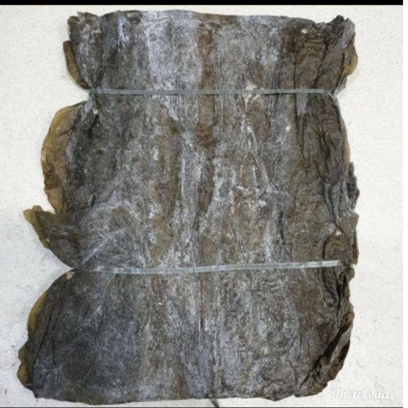 

Hai Tai phi konbu Dried Klep 100gr Rumput laut kering Seawed