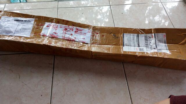 Tanaman Hias Lili Paris - Tanaman Umbi Umbian