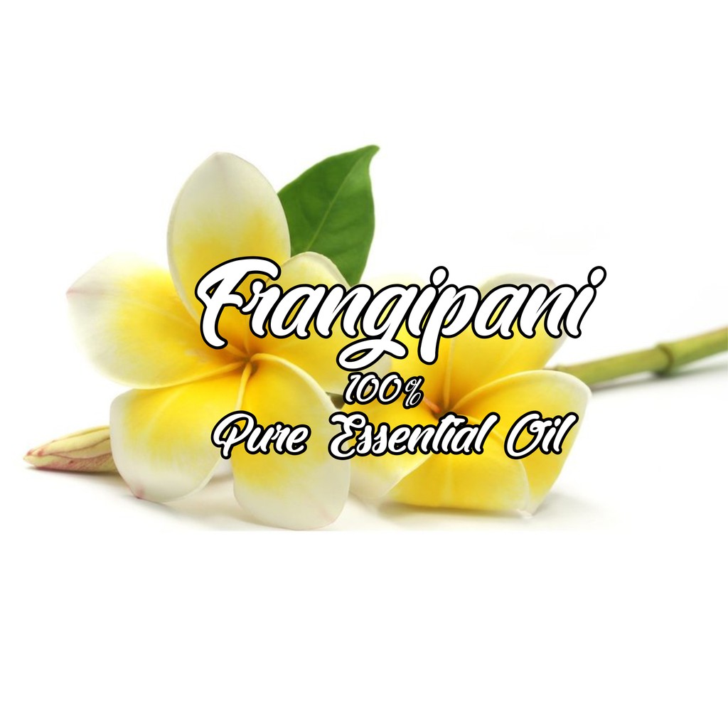 Frangipani 100% Pure Essential Oil 1 L