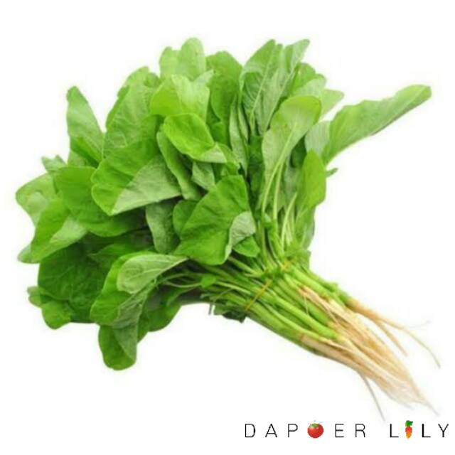 

Bayam