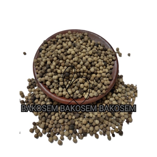 

Merica Biji Lada Putih