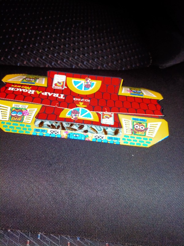 Rumah Kecoa Hoy Hoy Perangkap Kecoa Ampuh