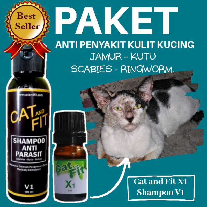 {PROMO!!!} PAKET OBAT KUCING CAT AND FIT X1 DAN SHAMPOO V1 OBAT JAMUR KUTU SCABIES RINGWORM KUCING