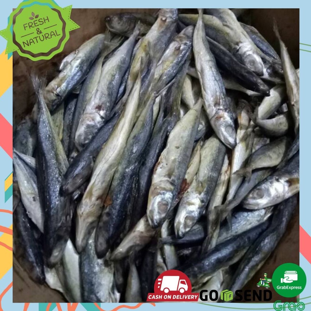 KLOTOK IKAN 1 KG FRESH