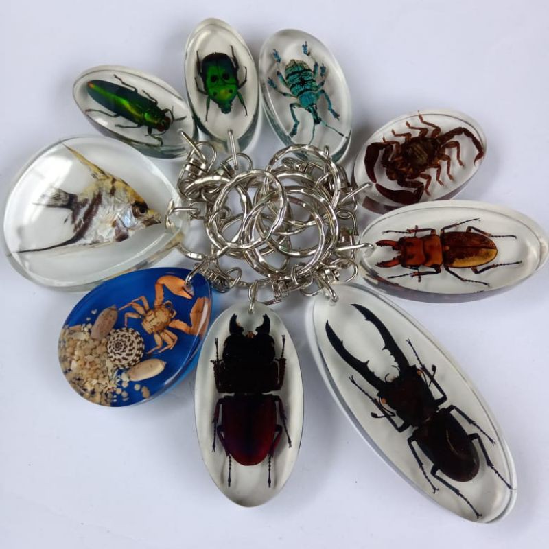 Gantungan kunci gantungan kunci unik gantungan kunci Gantungan kunci gantungan kunci unik gantungan kunci