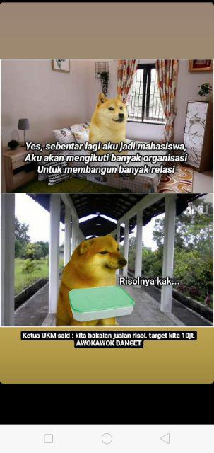 [bisa Cod] Promo Murah Rak Gantung Sepatu Karakter Full Resleting Kualitas Terbaik Dan Termurah