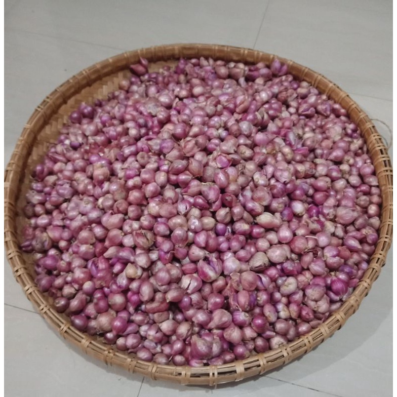 

Bawang Merah alias Brambang 500 gram