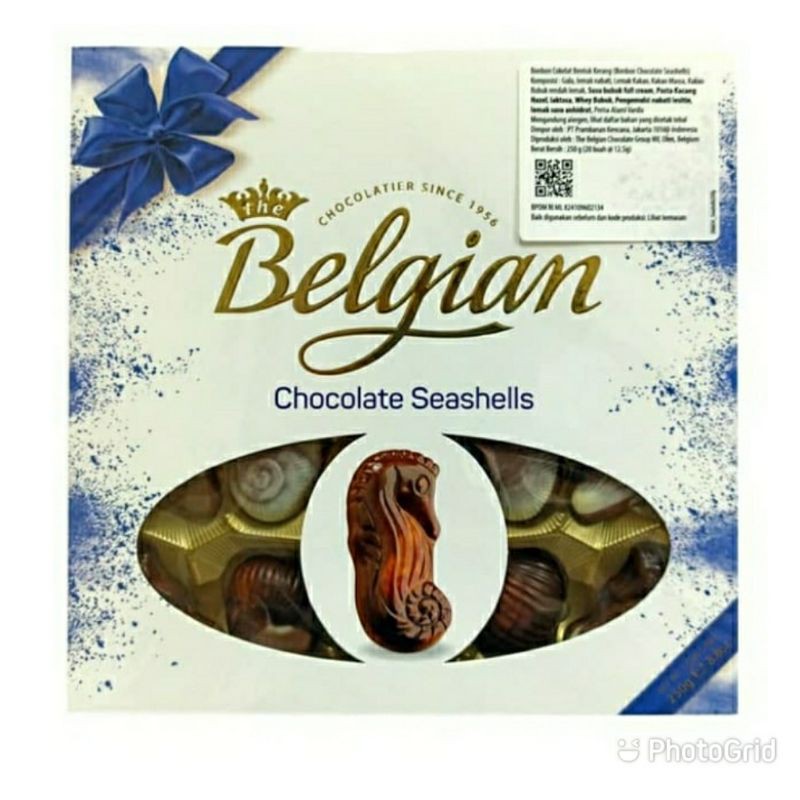 

The Belgian Chocolate Seashels Gift Box 250gr-Chocolate Import
