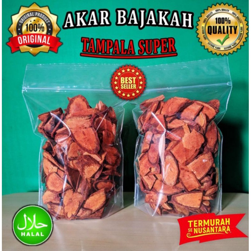 

HERBAL AKAR BAJAKAH TAMPALA MERAH SUPER 500GRAM ASLI KALIMANTAN AKAR BAJAKAH MERAH KUALITAS PREMIUM