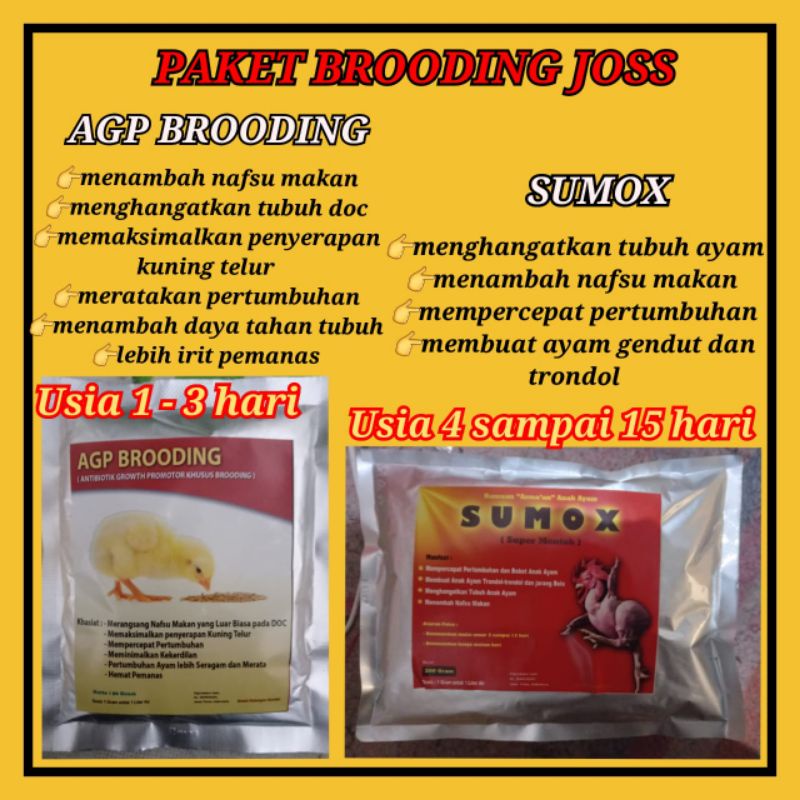 vitamin brooding agp dan sumox