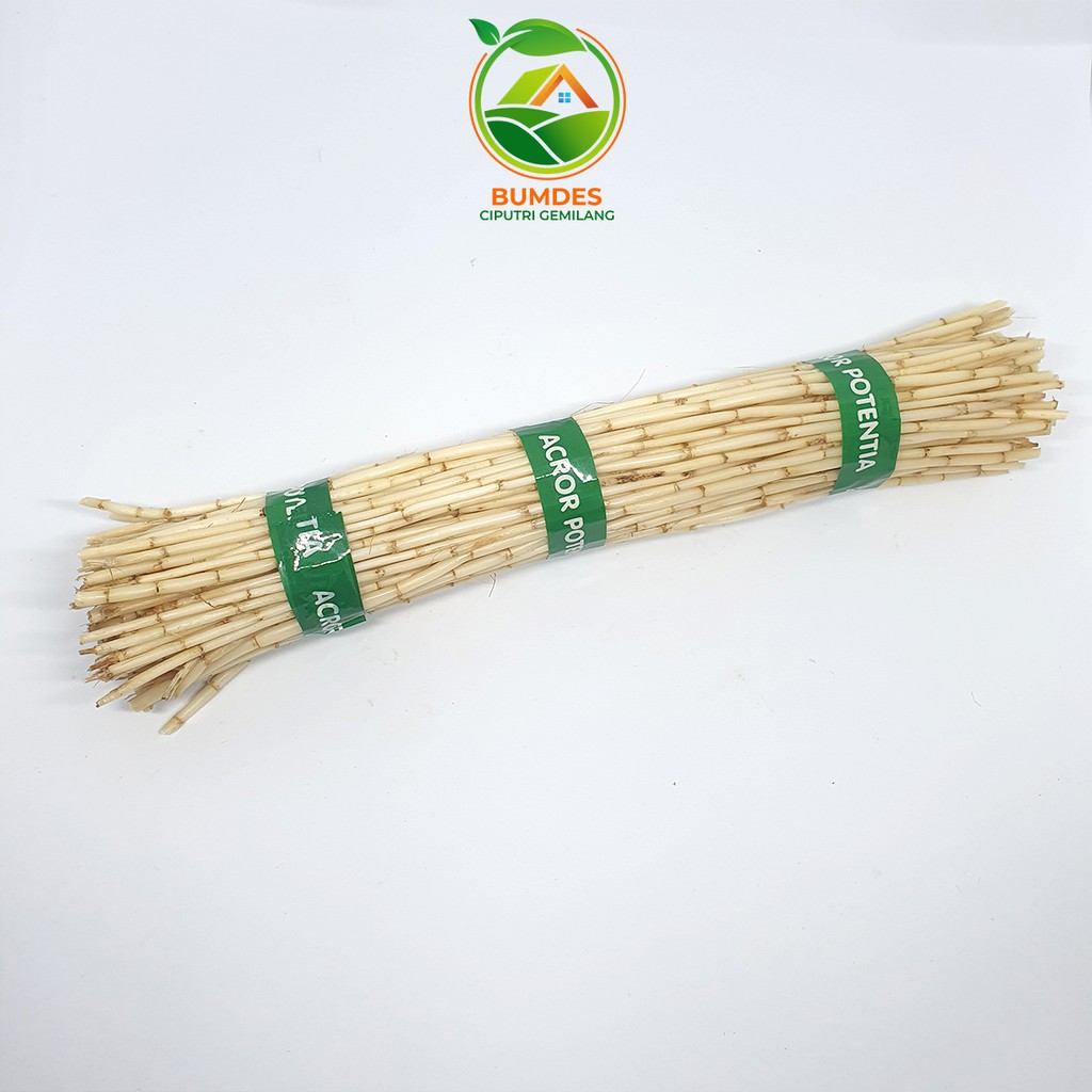 

NOB akar alang alang segar 1kg