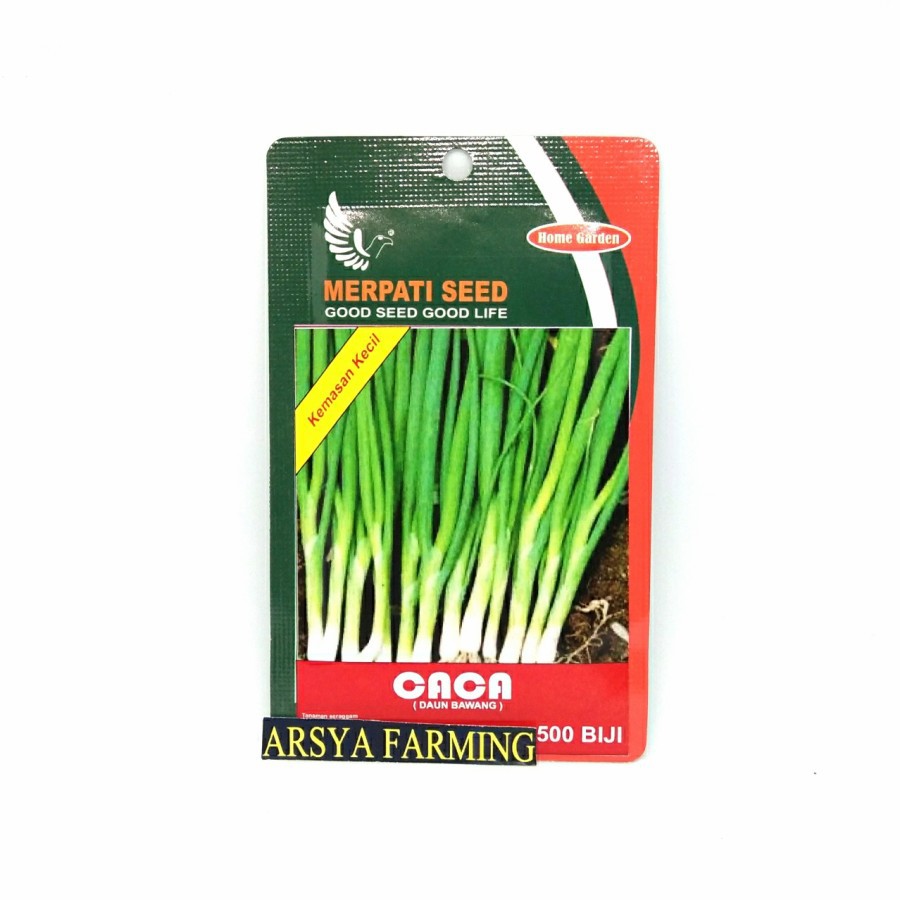 BENIH DAUN BAWANG CACA 500 BIJI - MERPATI SEED