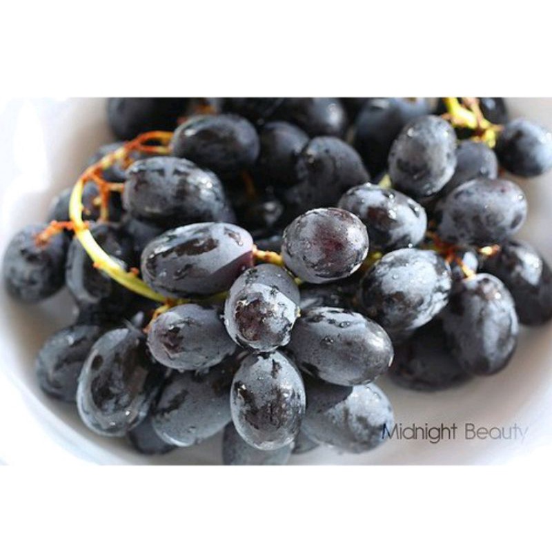 

Anggur Beauty Midnight Afrika Seedlees Fresh Premium 500g